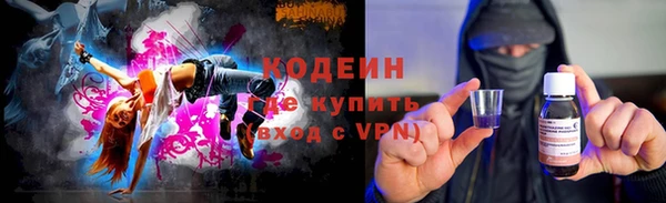 мет Няндома