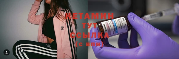 мет Няндома