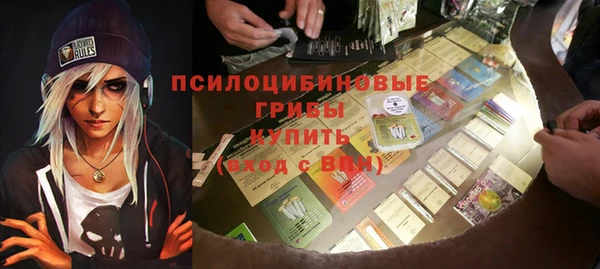 мет Няндома