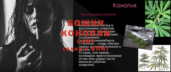 прущие крисы Осинники