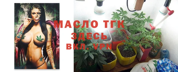 мет Няндома