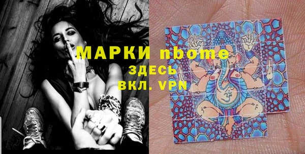 мет Няндома